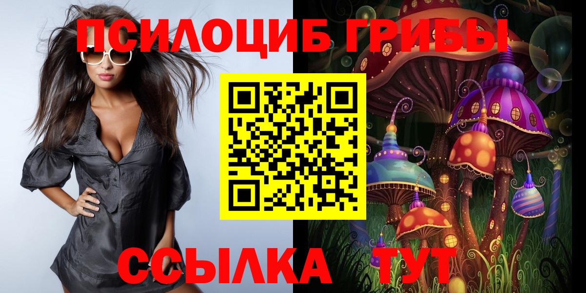 Галлюциногенные грибы GOLDEN TEACHER Богородицк