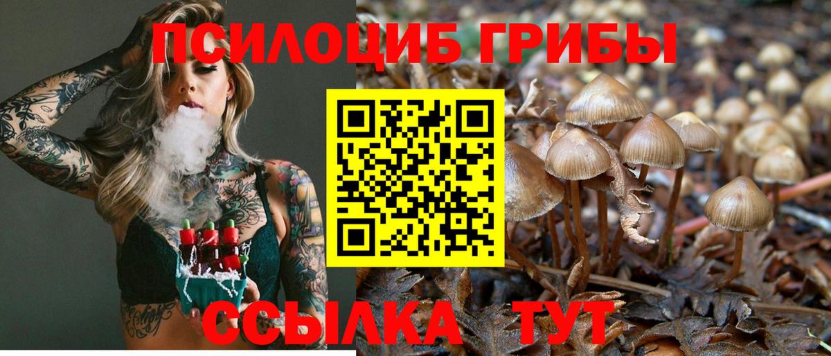 Псилоцибиновые грибы Cubensis  Вход с VPN  Псилоцибиновые грибы ЛСД  Богородицк 